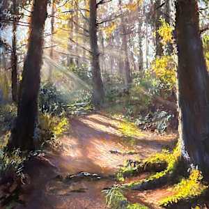 A Walk in the Woods by Susan Kuznitsky