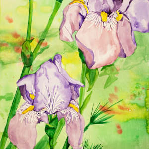 Iris by Maryam Gossling, FSPA, Image 1.