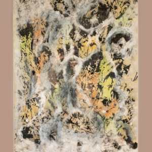 Salve, Shadow Play by Marda Tsai, FSPA 