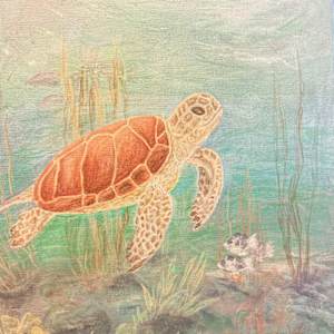 Hawaii Turtle by Karin Faris Hills