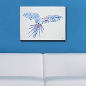 Macaw by Mirela Fioresy 