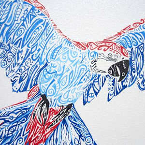 Macaw by Mirela Fioresy 