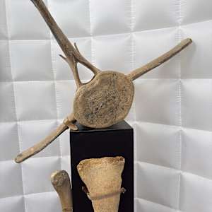 St Paul Island Alaska-2 