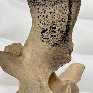 St Paul Island Alaska-2 