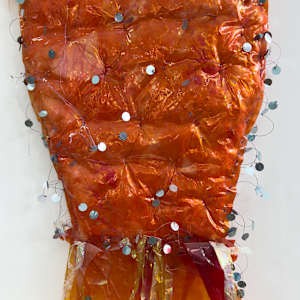Orange fish costume 