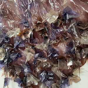 Purple diamond shape 