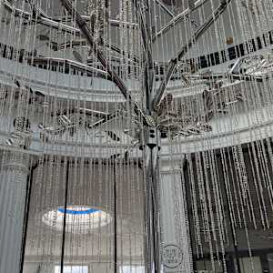 Silver Tree by Darl Schaaff 