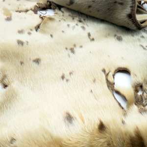 Seal pelt 