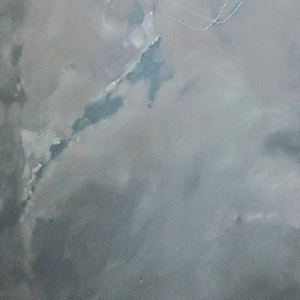 Foreign Objects #7 by Pita Pitussi, Image 2.