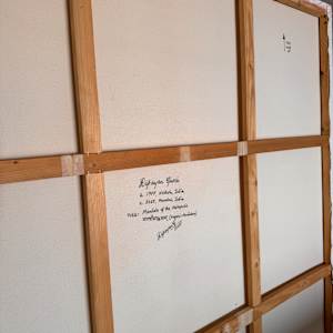 Mandala of the Metropolis,  नगरीमण्डलम् (Nagarī-Maṇḍalam) by DIPAYAN GHOSH 