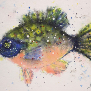Fuzzy Fish by Sue Fraker