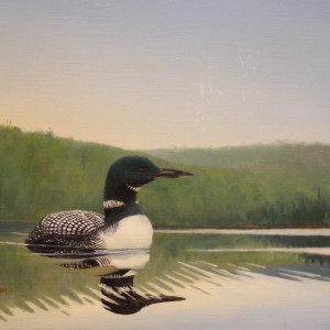 Loon by William E, Taylor