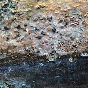 Pink moon shadow by Janet Heekin