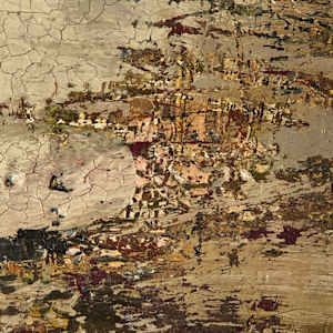 Falcon's dream by Janet Heekin