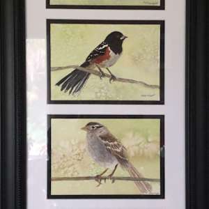 Backyard Birds by Nancy Wright, Image 1.