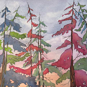 Whispers of the Canopy by Tammy Bailey