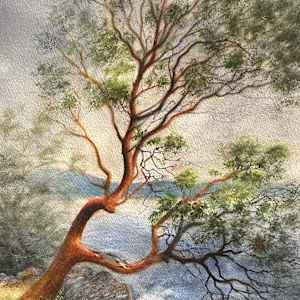 Arbutus 3 by Judy Hazel