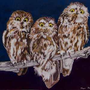 We Three Owls by Thea Phillips