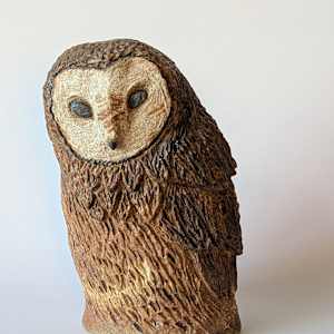 Barn Owl by Jill Robinson