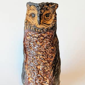 Small Owl by Jill Robinson
