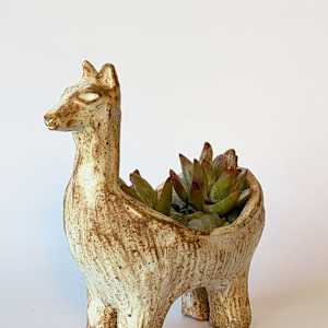 Small Llama by Jill Robinson, Image 1.