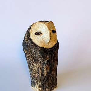 Barn Owl by Jill Robinson