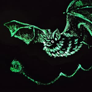 Night Life by Stephanie Bell  Image: After UV light exposure, in the dark