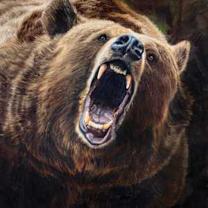 Echoes of The Wild by Rachael Lynn Lofgran, Image 1.