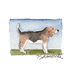 Beagle by The Red Sable Studio