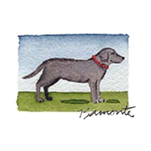 Black Lab by The Red Sable Studio