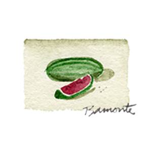 Watermelon by The Red Sable Studio