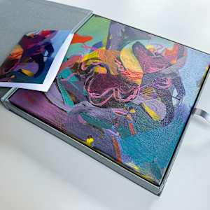 Deconstructed Delusion No. 15 by Petra Penz 