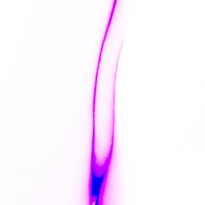 Ladies Always Cross Their Legs (Landscape of a Body) 4 by Christine Blankenship