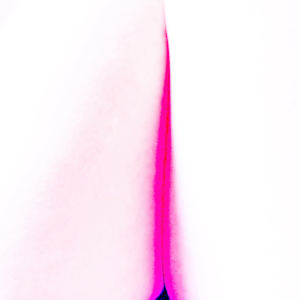 Ladies Always Cross Their Legs (Landscape of a Body) 6 by Christine Blankenship