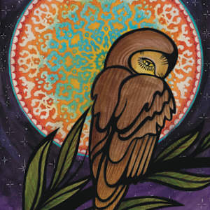 Owl & Moon: Collaboration with Dina Mohrs by Michael T. Gardner