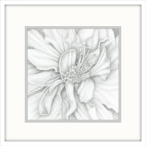 Double Hibiscus - Drawing by Mary Ahern