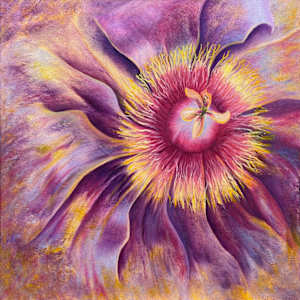 241130 Cosmic Peony Power by Mary Ahern