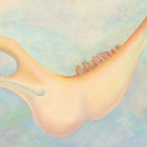 Jawbone - Homage to Georgia by Mary Ahern