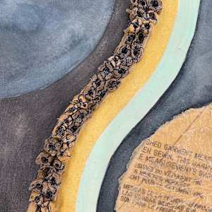 Tidal: B2 by Elisha Frontz 