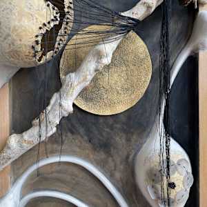 Experiment by Elisha Frontz 