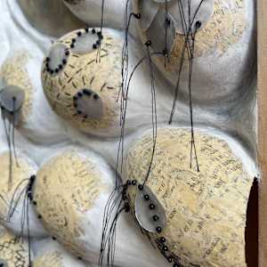 Experiment by Elisha Frontz 