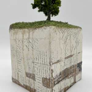 Story of the Land Shaped Like Forever: Cube by Elisha Frontz 