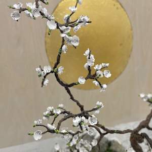 Prologue by Elisha Frontz 