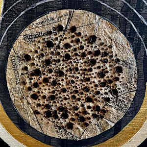 Reincarnation by Elisha Frontz 