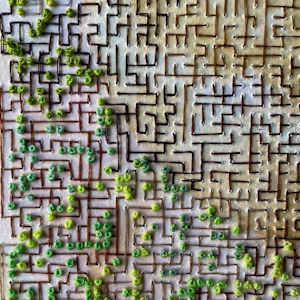 Homage to a Tree in Spring by Elisha Frontz 