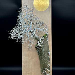 After the Longest Winter by Elisha Frontz 