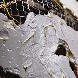 Resilience by Lisa Ruch  Image: Detail