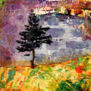The Unexplored Path by Lisa Ruch