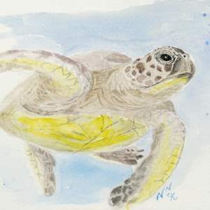 My Way by Natascha Nigg