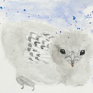 Some Days later by Natascha Nigg